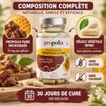 Propolis ULTRA 120 gélules Propolia avec composition complète et ingrédients pour défenses immunitaires