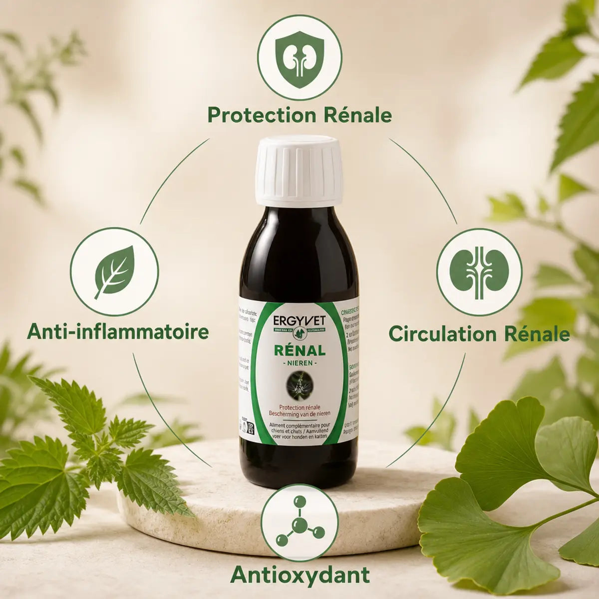 Ergyvet Rénal 100ml - Protection rénale chien chat avec bénéfices anti-inflammatoire et antioxydant