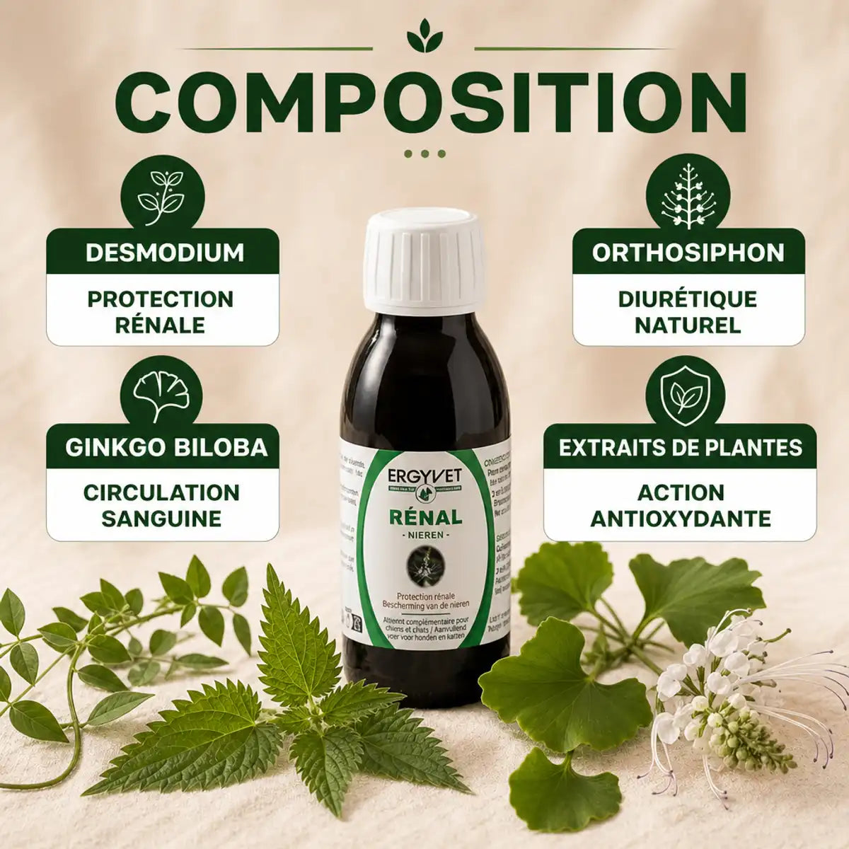 Ergyvet Protection Rénale 100ml avec ingrédients botaniques pour chien et chat sur fond beige