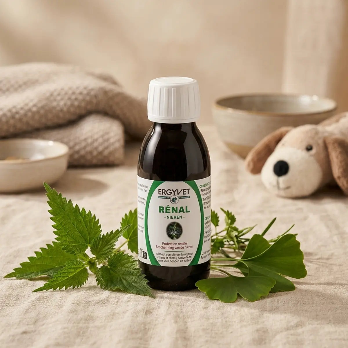 Ergyvet Protection Rénale 100ml flacon avec étiquette verte, complément support rénal chien chat