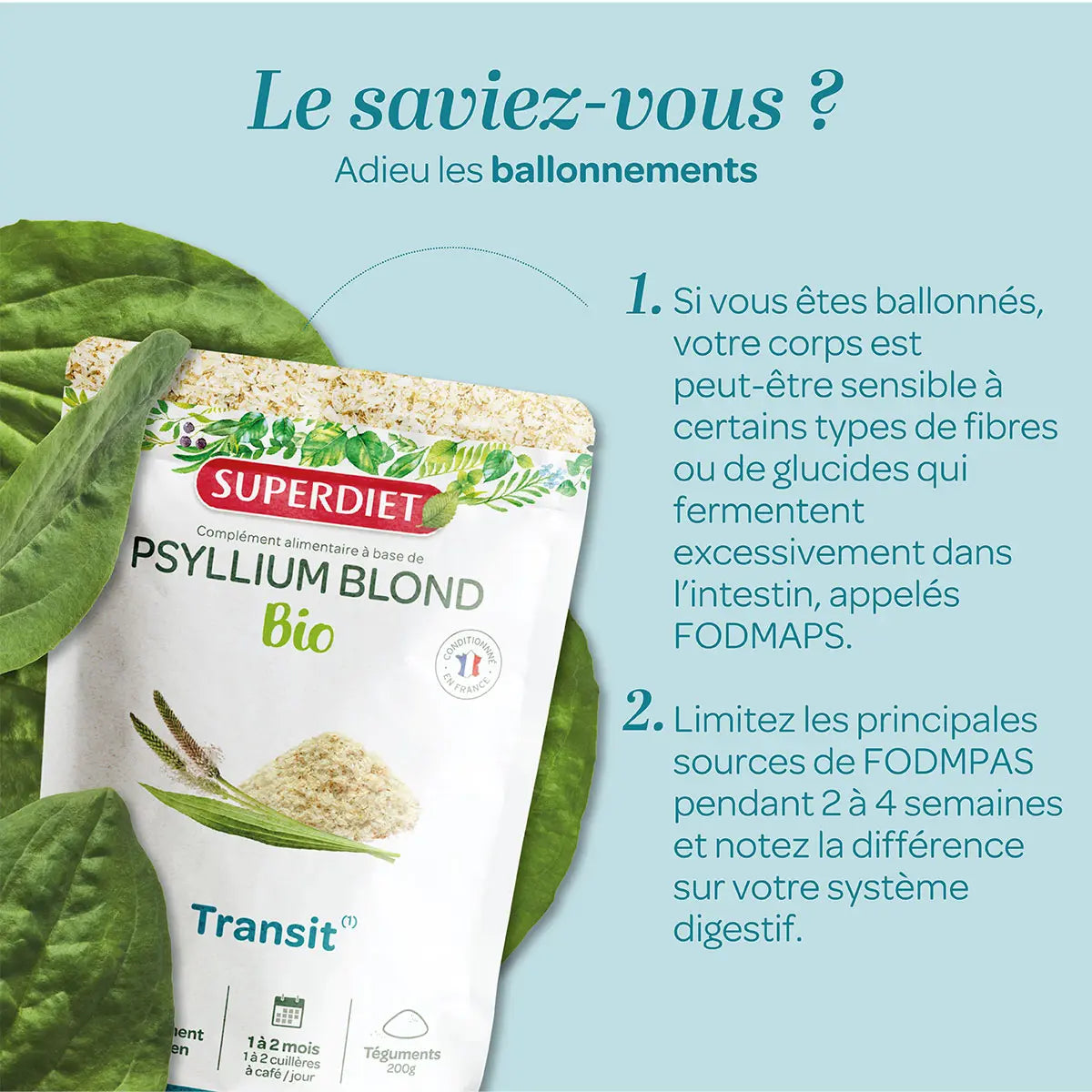 Explication du fonctionnement du Psyllium Blond Bio sur le transit et les ballonements