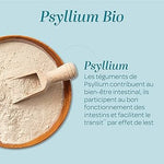 Présentation du Psyllium Blond 