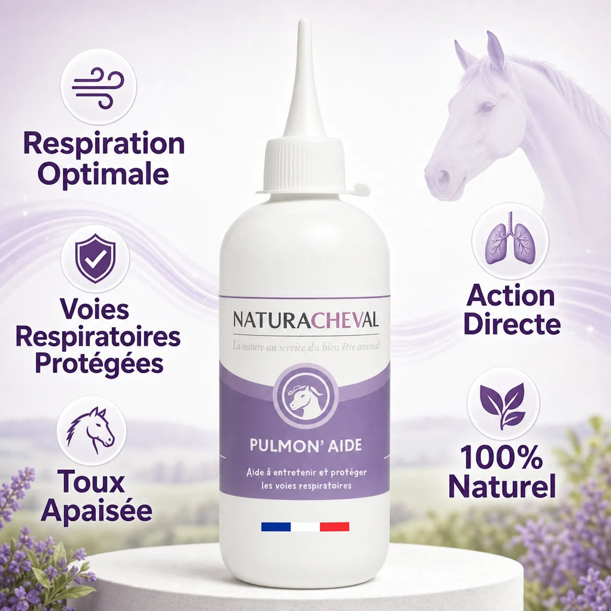 Pulmon'Aide complément respiration cheval - bouteille avec 5 bénéfices naturels pour toux et voies respiratoires