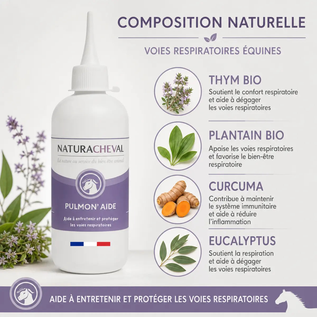 Pulmon'Aide complément respiratoire cheval avec ingrédients naturels thym plantain curcuma nébulisateur