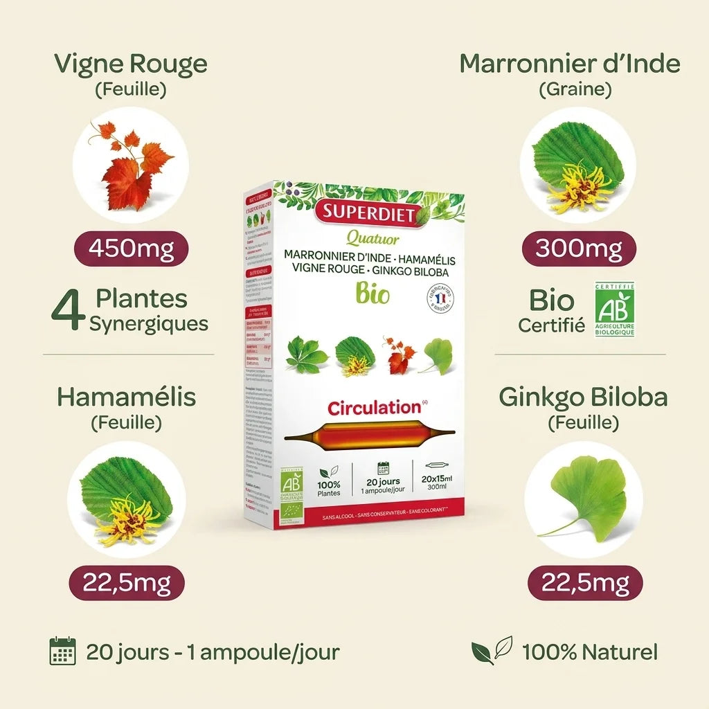 Quatuor Circulation Bio Superdiet 20 ampoules avec vigne rouge, marronnier et ginkgo biloba
