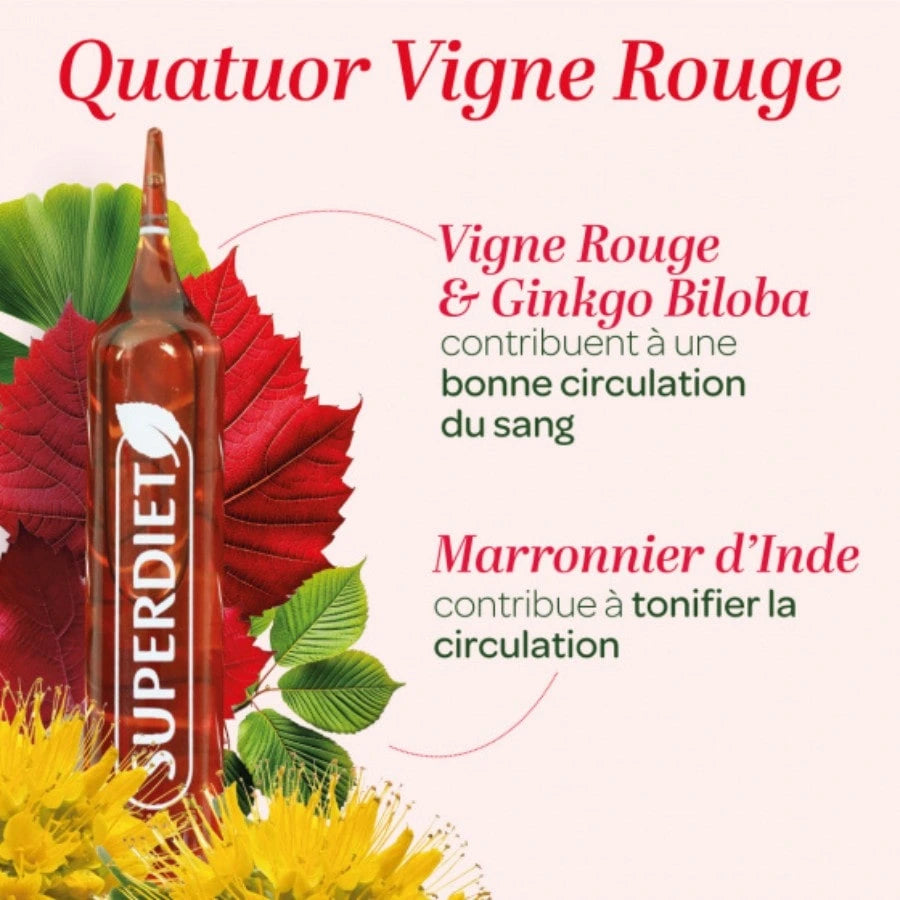 Les bienfaits des ampoules de Quatuor Circulation Bio Superdiet à base de vigne oruge, ginkgo biloba et marronier d'inde