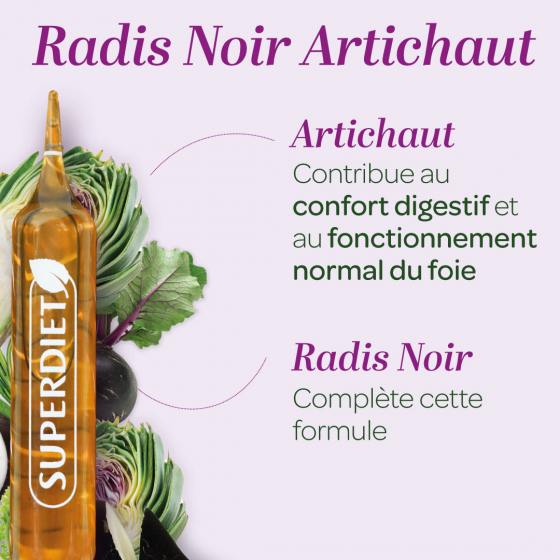 Les bienfaits de l'artichaut et du radis noir sur la santé