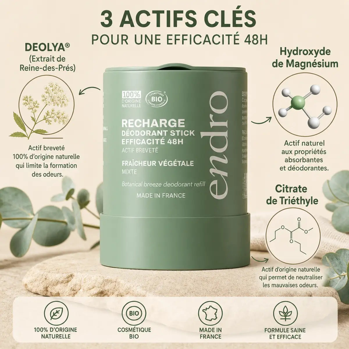 Recharge Déodorant Stick Endro Fraîcheur Végétale avec ingrédients actifs et feuilles d'eucalyptus