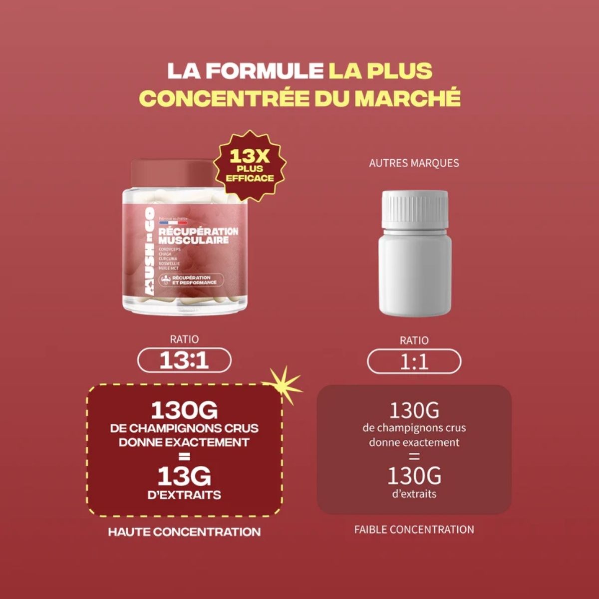 La formulation du MushnGo Récupération Musculaire - Pot de complément avec capsules Cordyceps, Chaga, Curcuma