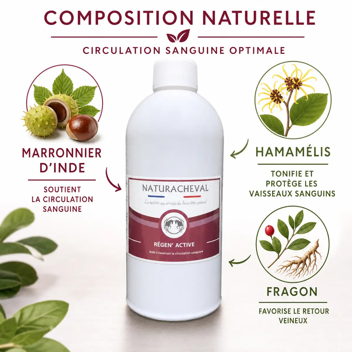 Régen' Active Naturacheval 500ml - Solution naturelle fourbure cheval avec ingrédients botaniques