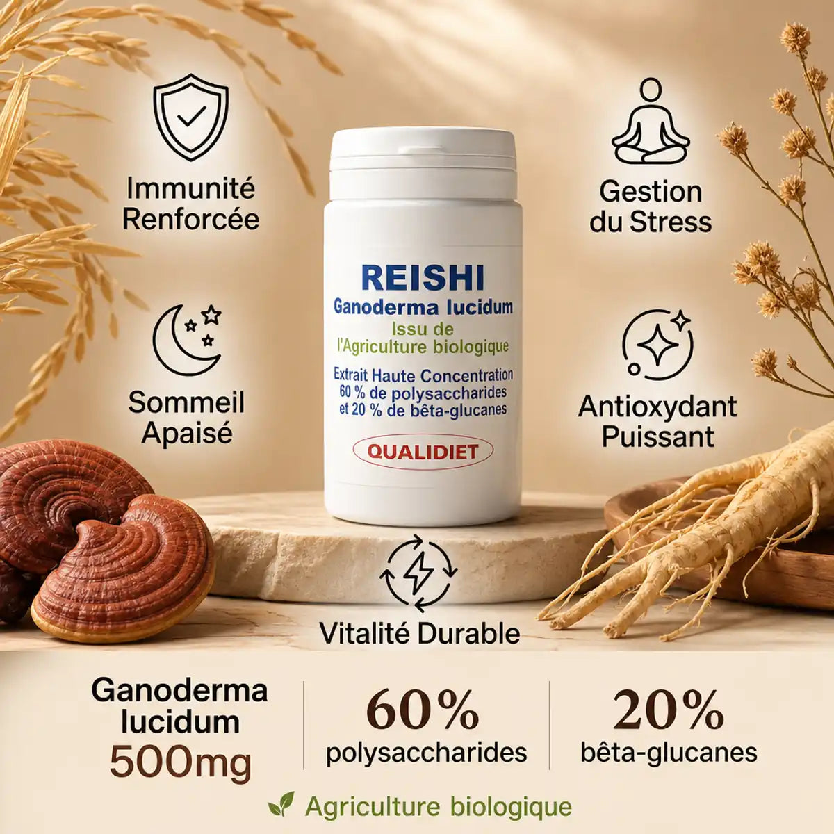 Reishi 500mg Bio Qualidiet - 60 gélules avec bénéfices immunité, stress et sommeil