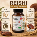 Flacon Reishi French Mush 56 gélules avec infographie ingrédients actifs pour relaxation et sommeil réparateur