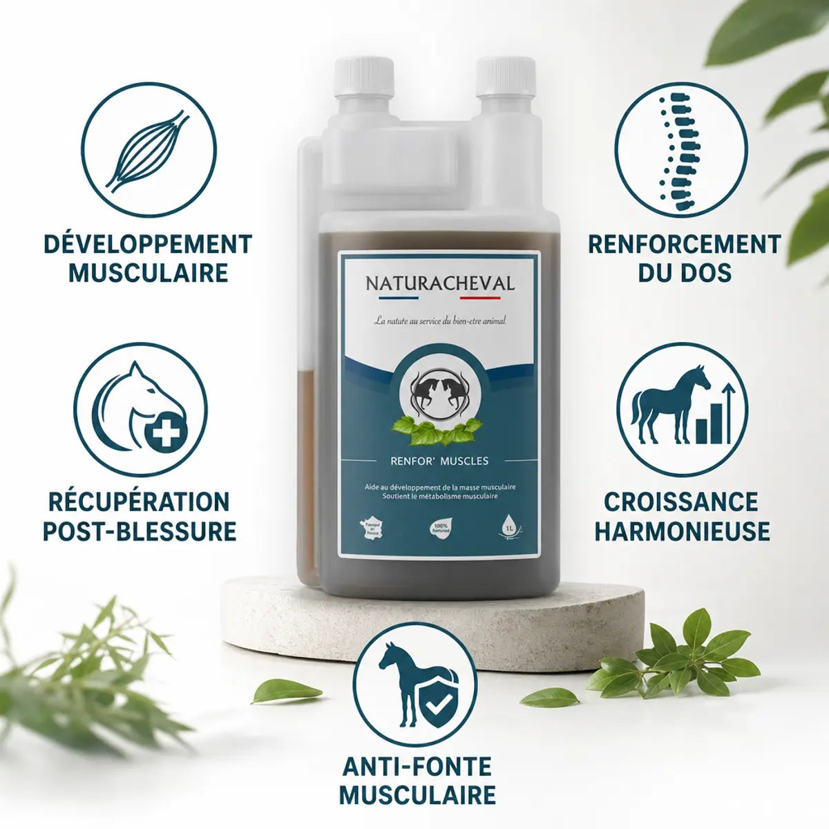 Renfor'Muscles Cheval 1L avec icônes bénéfices : développement musculaire, récupération et renforcement du dos équin
