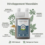 Bouteille Renfor'Muscles Cheval Naturacheval 1L avec ingrédients naturels et bénéfices musculaires