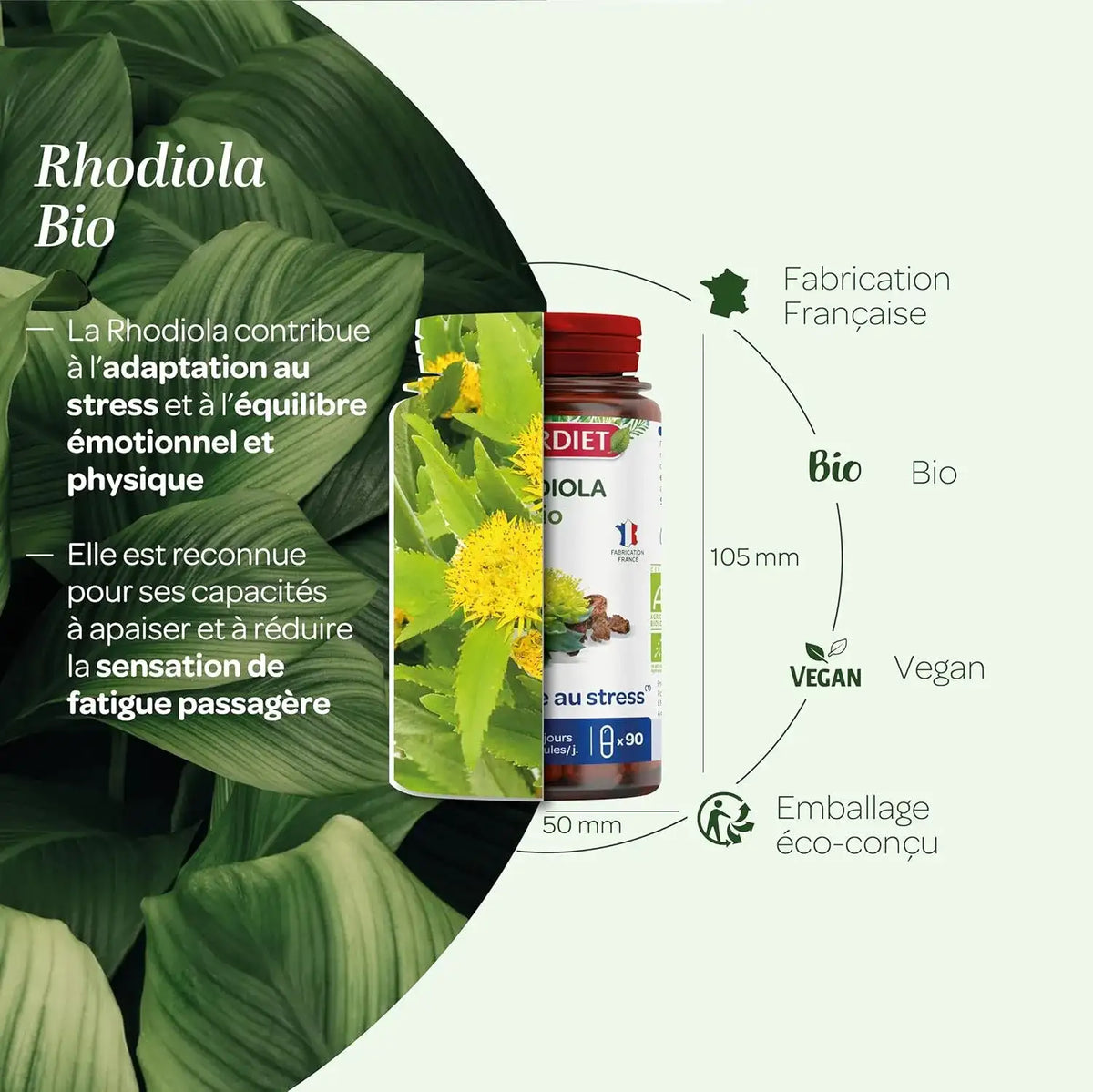 Bienfaits de la rhodiola bio superdiet