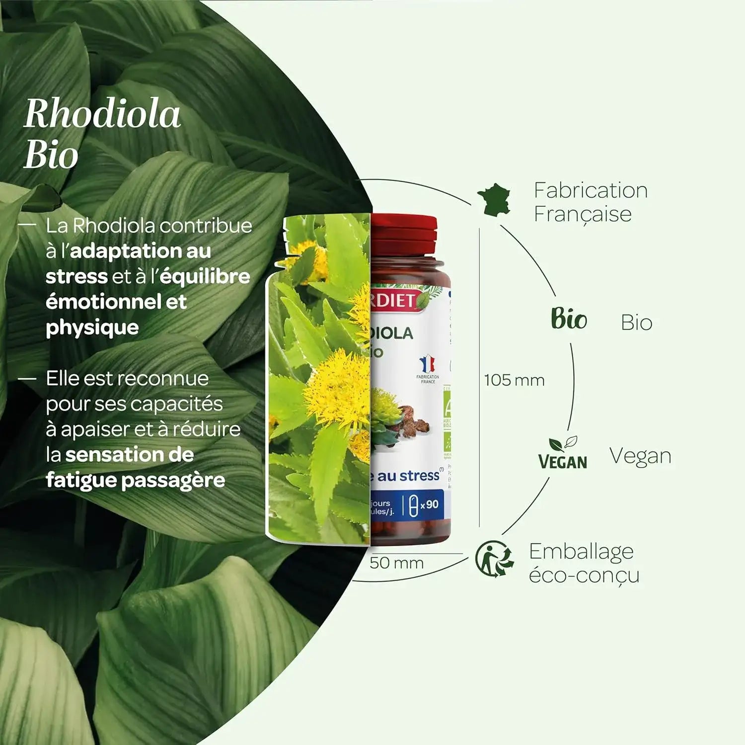 Bienfaits de la rhodiola bio superdiet