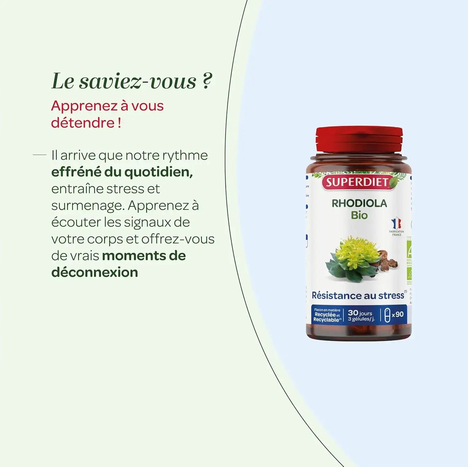 Texte informatif sur les bienfaits de la rhodiola