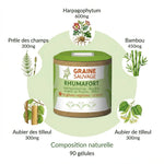 Rhumafort 90 gélules - Supplément articulaire avec Harpagophytum, Bambou, Tilleul et Prêle