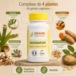 Rhumafort 90 gélules Graine Sauvage - Complexe 4 plantes pour souplesse articulaire