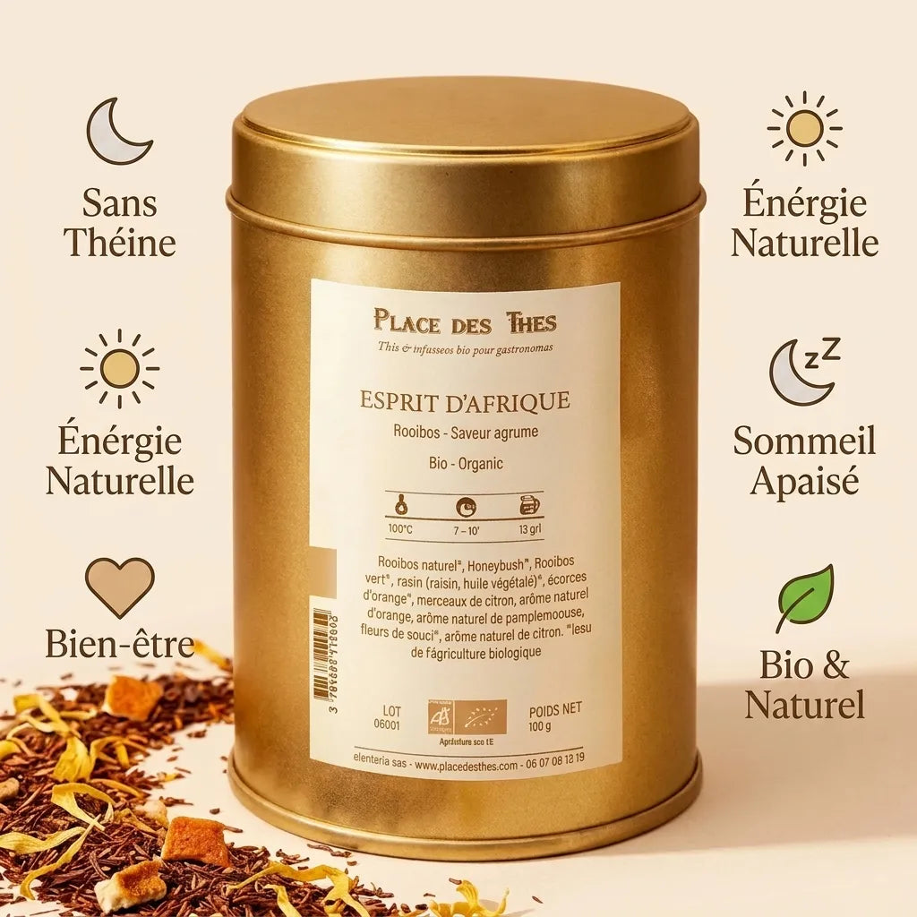 Rooibos Esprit D'Afrique du Sud Bio 100g - Boîte dorée avec icônes bien-être et feuilles