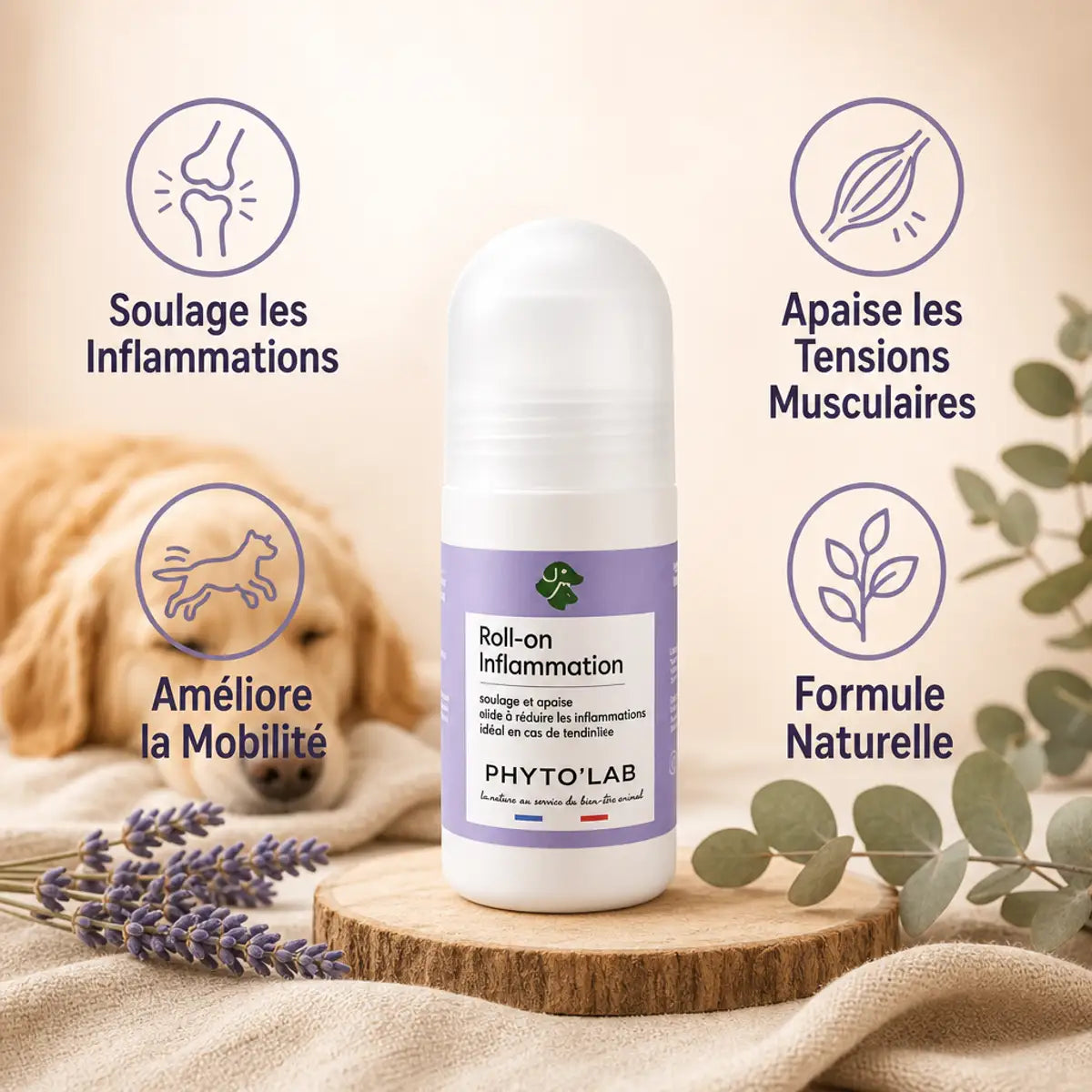 Roll-on Inflammation Phyto'Lab 65ml avec icônes bénéfices pour muscles et articulations