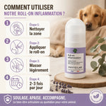 Roll-on Inflammation Phyto'Lab 65ml avec guide d'application pour muscles et articulations