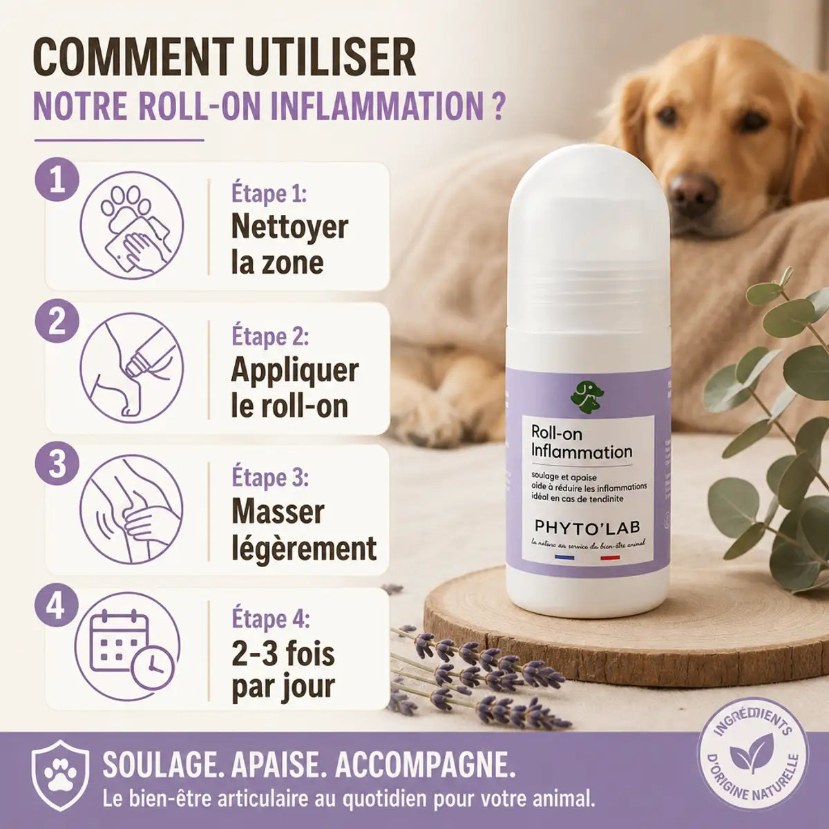 Roll-on Inflammation Phyto'Lab 65ml avec guide d'application pour muscles et articulations