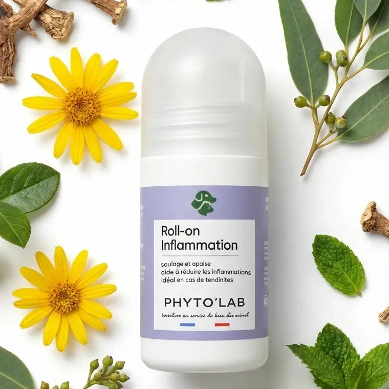 Roll-on Inflammation Phyto'Lab 65ml avec ingrédients naturels pour muscles et articulations