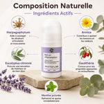 Roll-on Inflammation Phyto'Lab 65ml avec ingrédients naturels Arnica Harpagophytum Eucalyptus