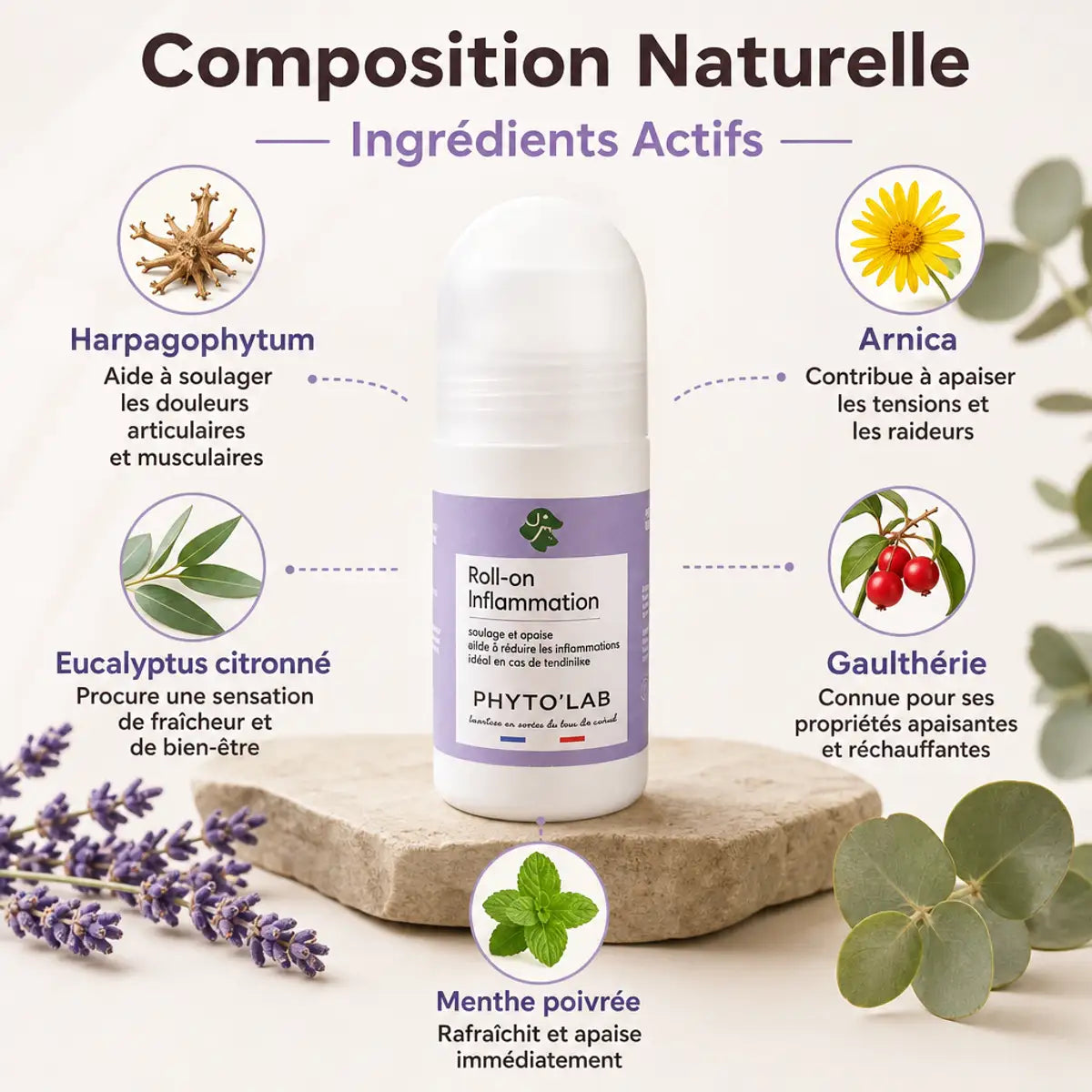 Roll-on Inflammation Phyto'Lab 65ml avec ingrédients naturels Arnica Harpagophytum Eucalyptus