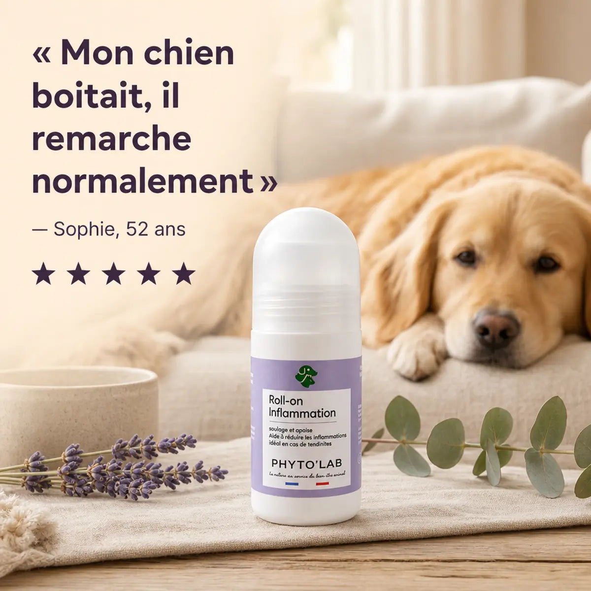 Roll-on Inflammation 65ml Phyto'Lab pour muscles et articulations avec chien et testimonial