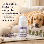 Roll-on Inflammation 65ml Phyto'Lab pour muscles et articulations avec chien et testimonial