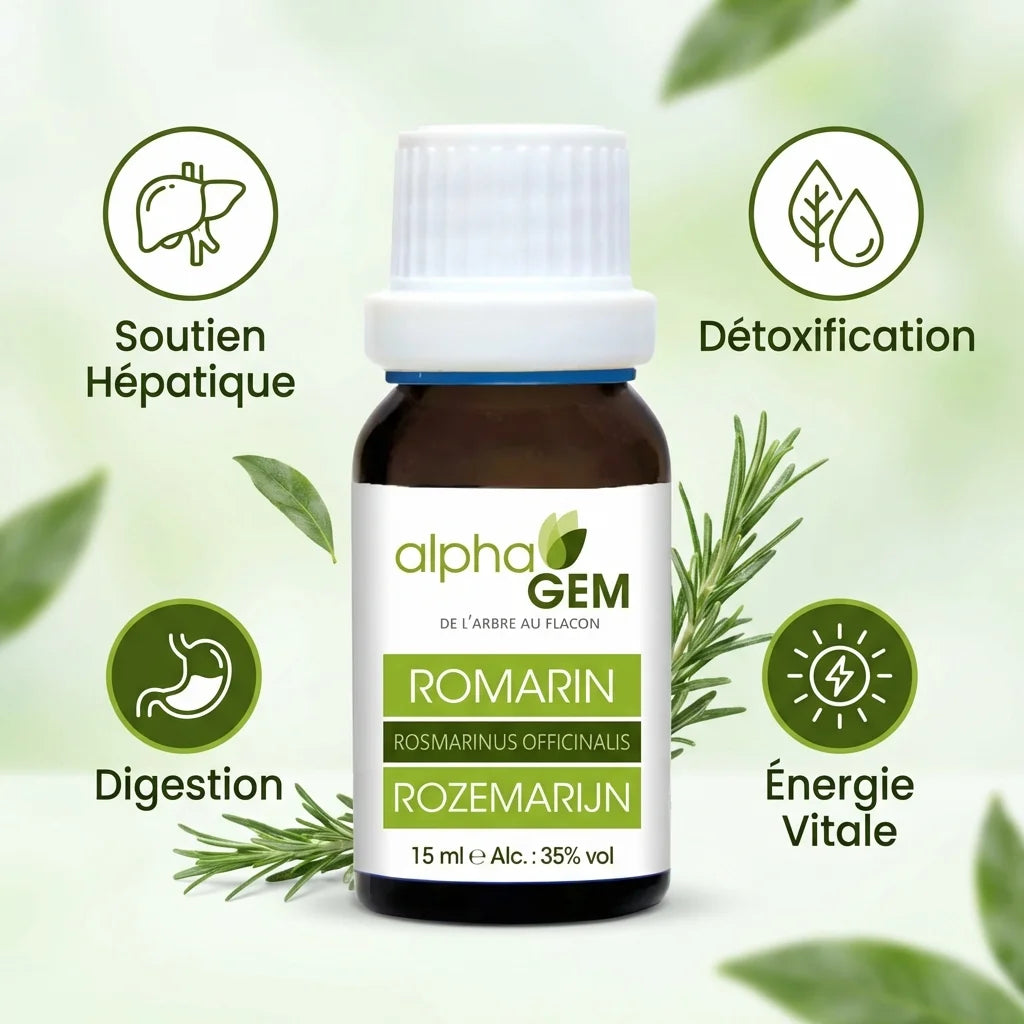 Alphagem Romarin 15ml - Soutien hépatique, détoxification et digestion naturelle