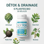 Santox Bio 30 gélules détox drainage avec 5 plantes bio - Artichaut, Radis Noir, Pissenlit, Maté, Bouleau