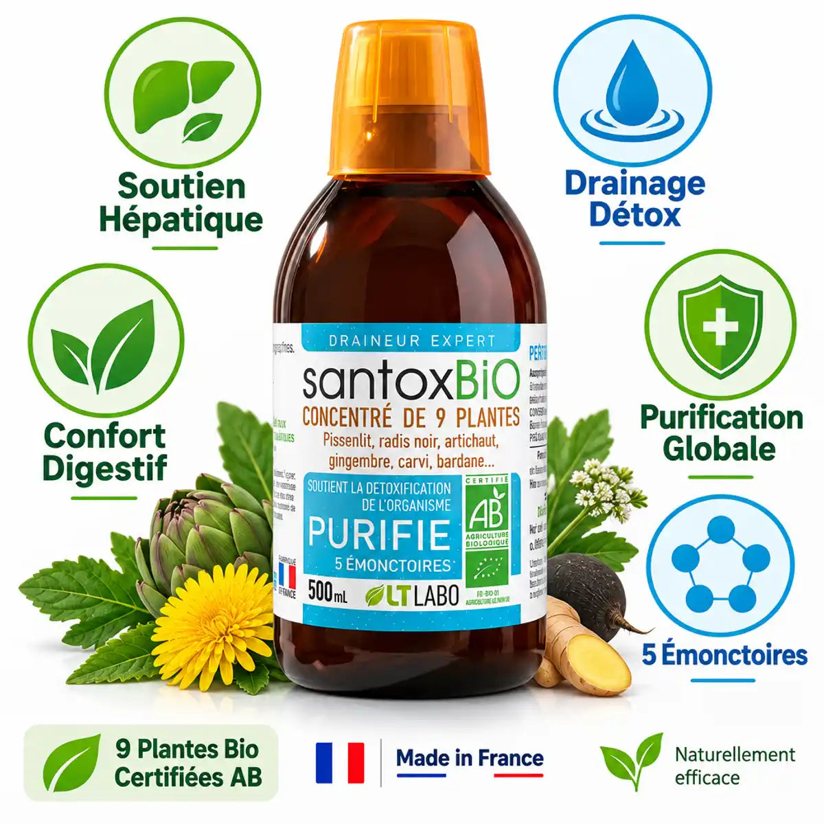 Santox Bio 500ml flacon verre ambré avec bénéfices détox, drainage hépatique et 9 plantes bio certifiées