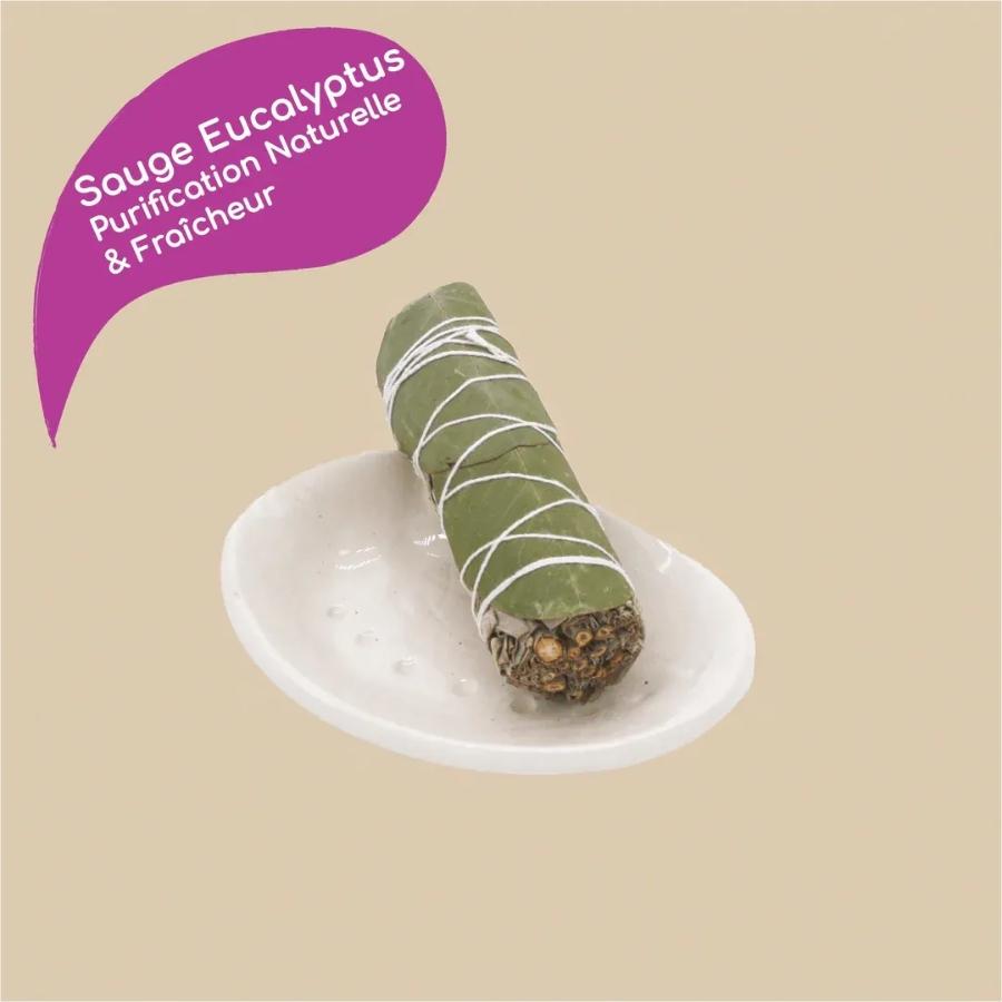 Une sauge eucalyptus