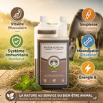 Sénior Cheval 1L Naturacheval - Complément chevaux âgés avec bénéfices vitalité et articulations