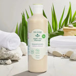 Photo d'ambiance d'une bouteille de Shampoing de 500ml de shampoing pour cheveux normaux de la marque Argile & Eau Thermale 