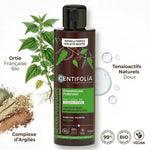 Shampoing crème purifiant Centifolia 200ml avec ortie bio, argiles et tensioactifs naturels