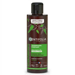 Shampoing Crème Purifiant Centifolia 200ml bouteille verre cheveux gras