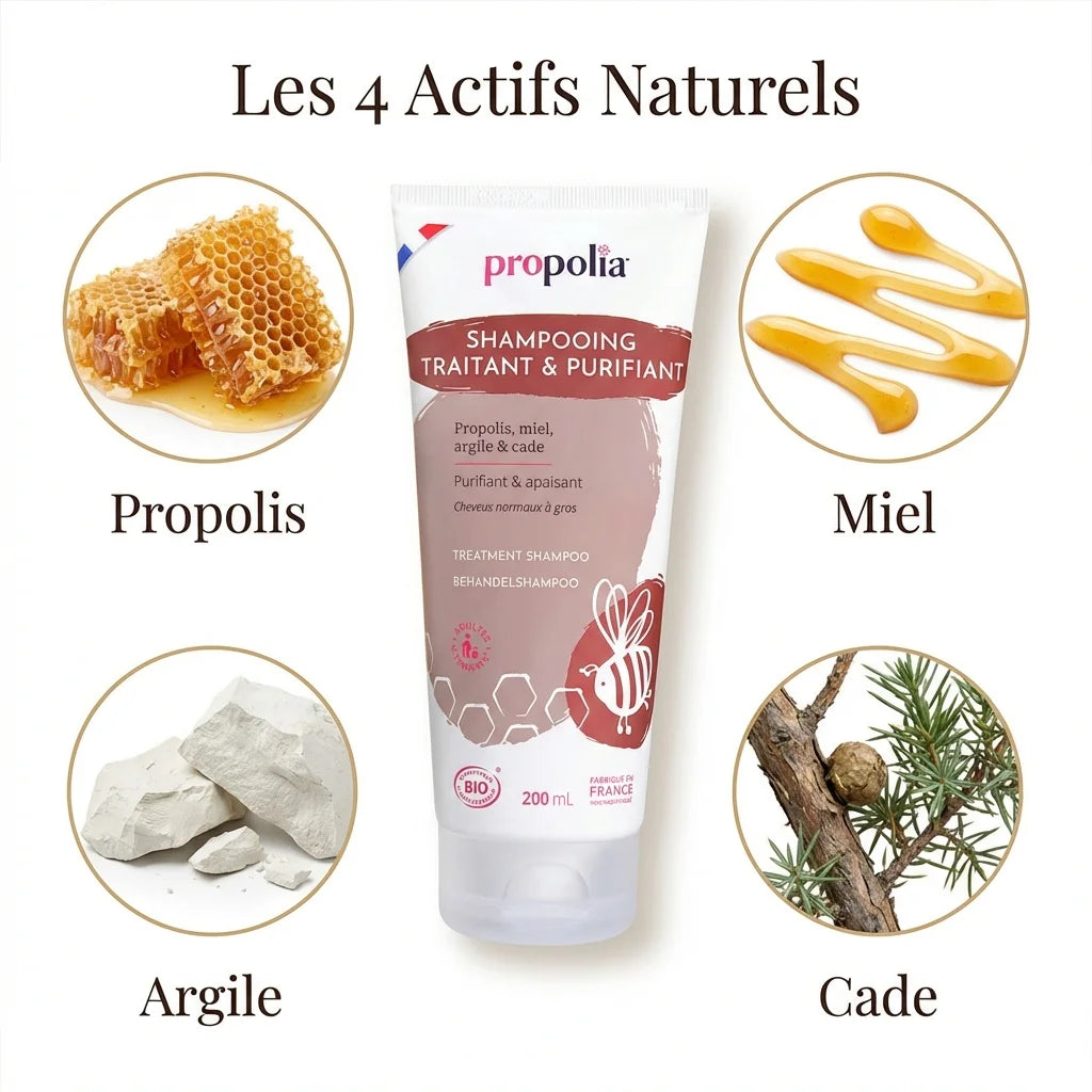 Propolia Shampoing Traitant 200ml avec ses 4 actifs naturels : propolis, miel, argile et cade