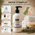 Shampooing pelage gras Pilagreen 250ml avec guide utilisation étapes chien chat