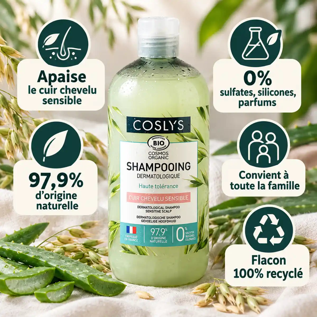 Shampooing dermatologique bio Coslys 500ml avec avoine et aloe vera, certifié naturel et sans sulfates