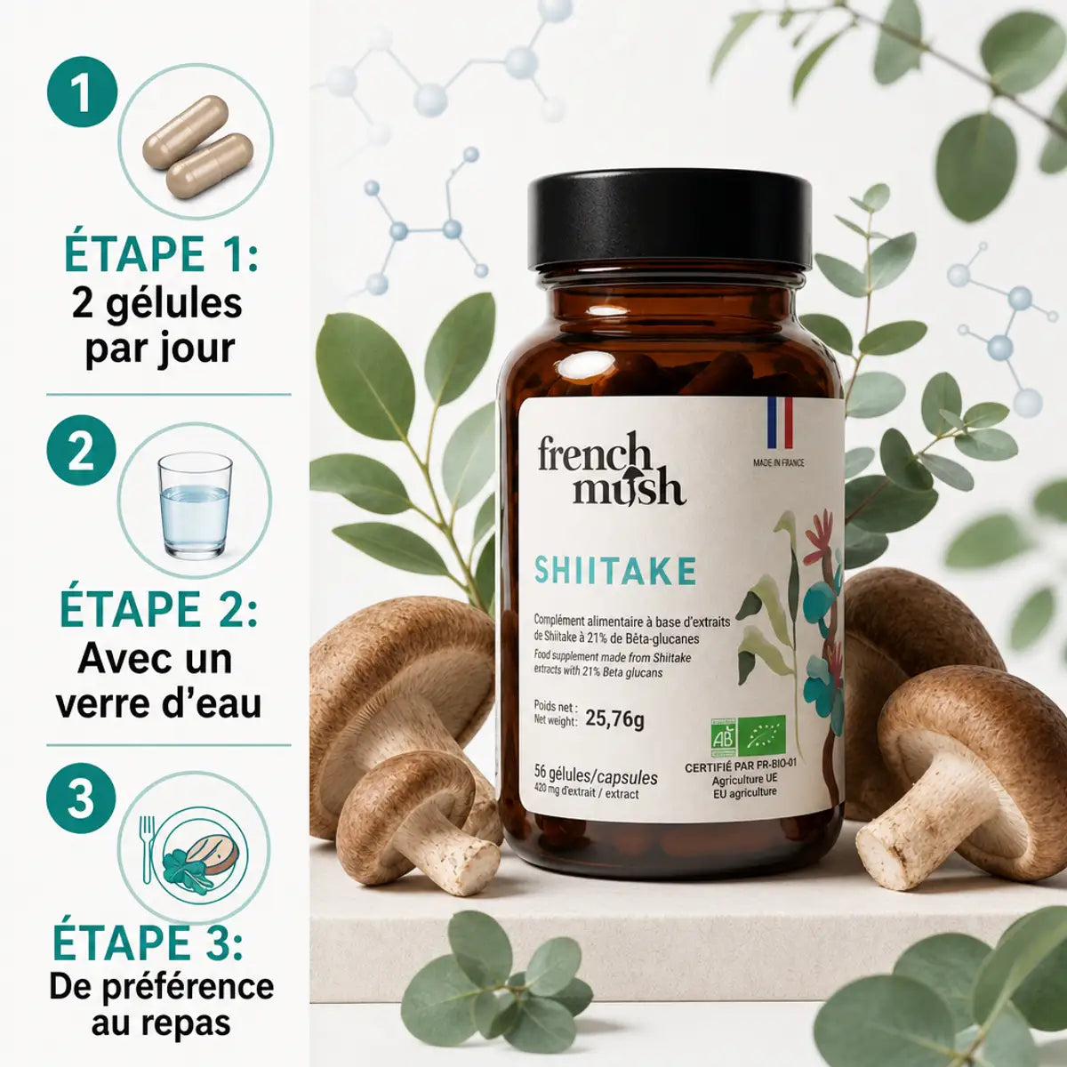 Shiitaké bio 56 gélules French Mush avec dosage, champignons frais et mode d'emploi pour cholestérol et perte de poids