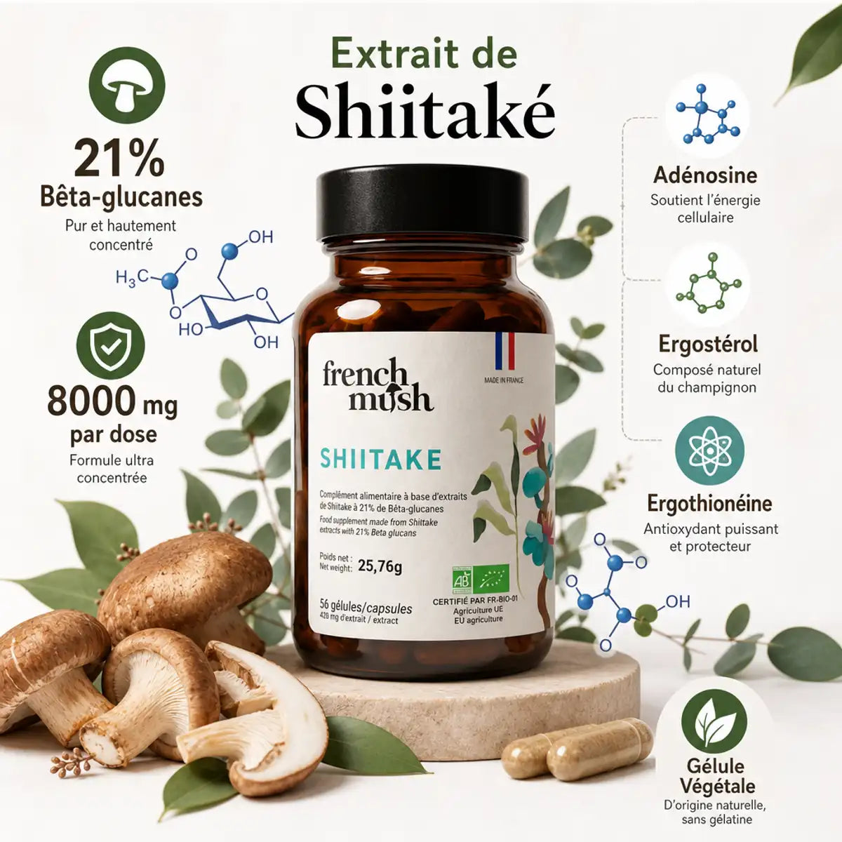 Flacon Shiitaké Bio French Mush avec champignons, bêta-glucanes et ingrédients pour cholestérol et perte de poids