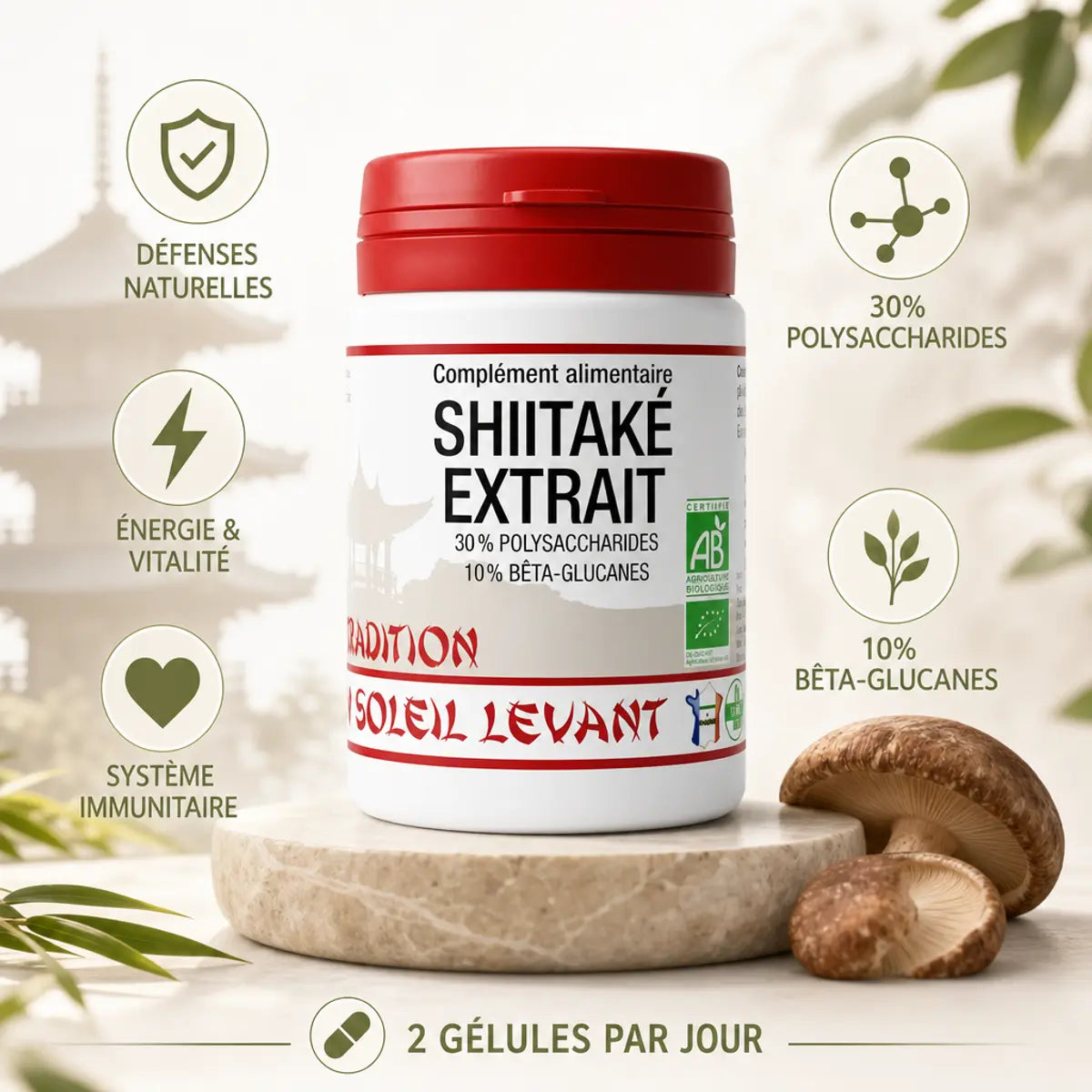 Complément Shiitaké Bio 60 gélules avec bénéfices immunitaires et polysaccharides, fond blanc
