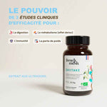 efficacité du shiitaké french mush