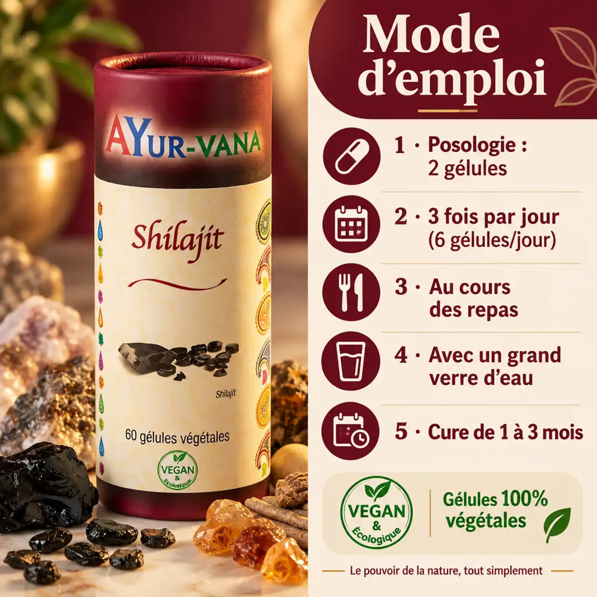 Boîte de Shilajit Ayur-Vana 60 gélules végétales entourée de résine et pierres, mode d'emploi en français