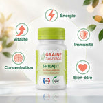 Shilajit 60 gélules Graine Sauvage avec bénéfices : énergie, immunité, bien-être, concentration, vitalité
