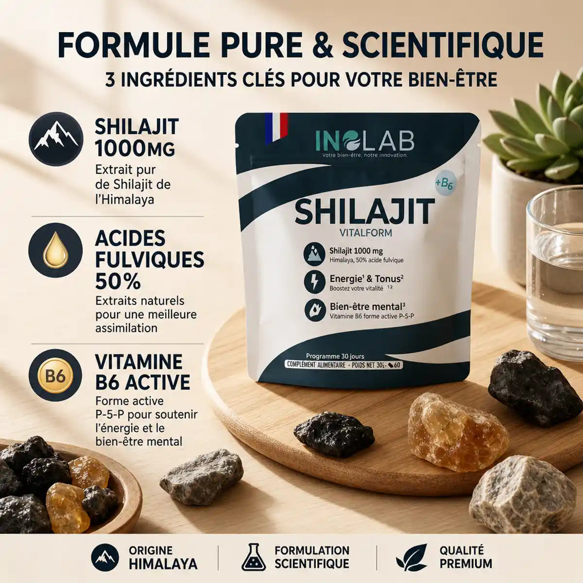 Shilajit Vitalform gélules x60 avec ingrédients actifs et minéraux himalayens naturels